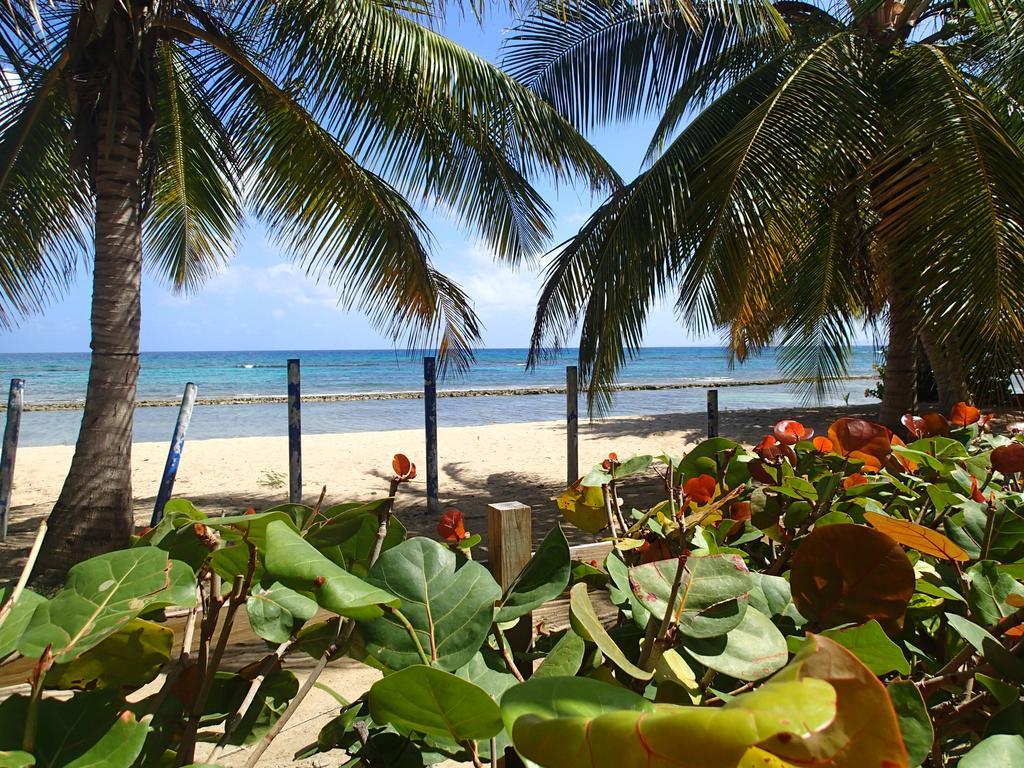 Ababor Suites Guesthouse Vieques Exteriör bild